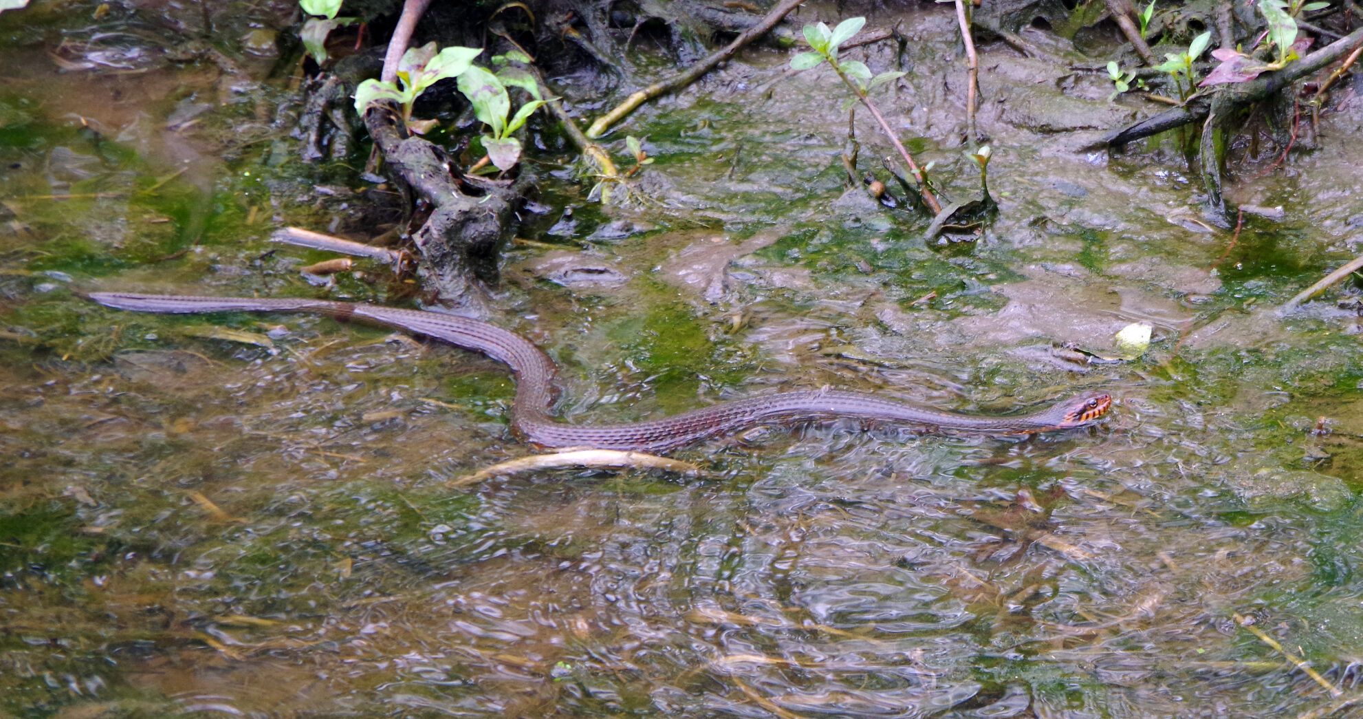 Fishing Derby